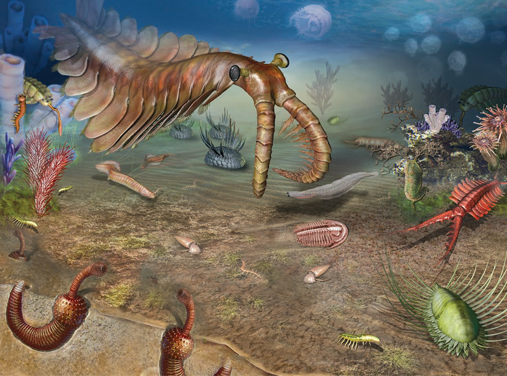 5億500万年前の生態系の復元図