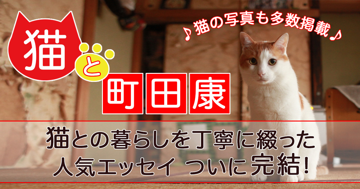 町田康の「猫屋敷」がヤバい──次々増える同居人。猫好き絶賛日記、完結