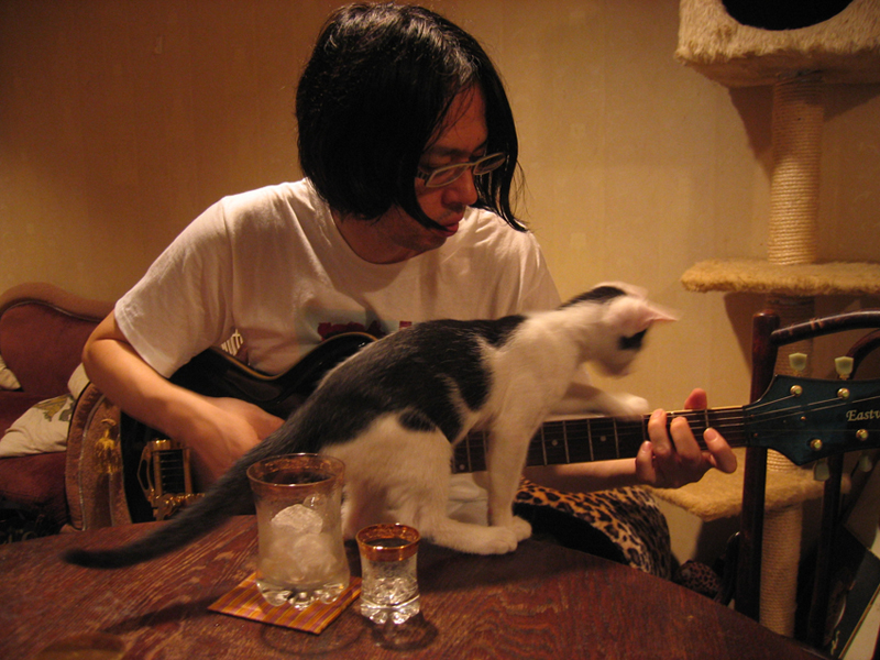 猫と町田康