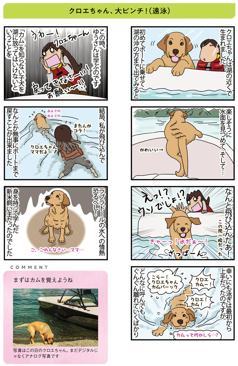 Snsで話題の犬漫画 ニュージーランドで大型犬と暮してみた 抱腹絶倒の犬育て 今日のおすすめ 講談社book倶楽部
