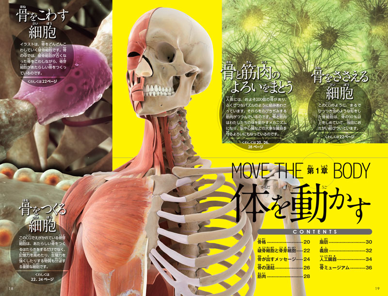 日本産 大型本・図鑑 驚異の人体 不思議な「わたしたち」のしくみ