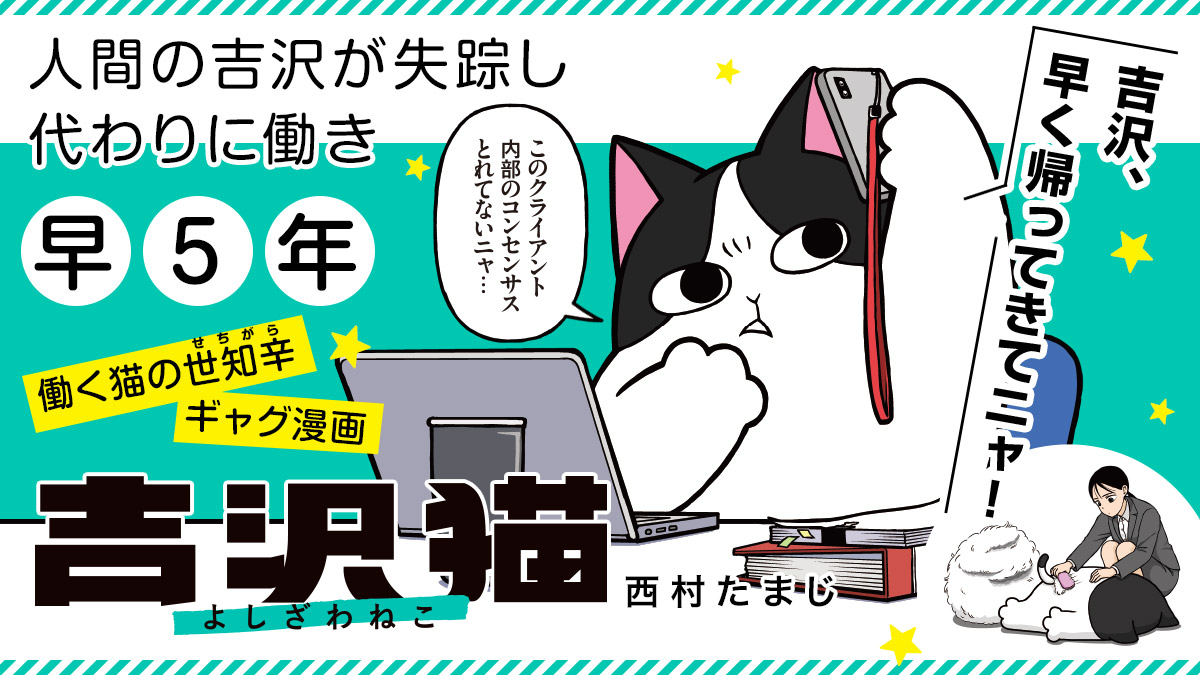 大好きな人間の帰りを待って早5年。代わりに働く猫のちょっぴり苦くてタフな日常